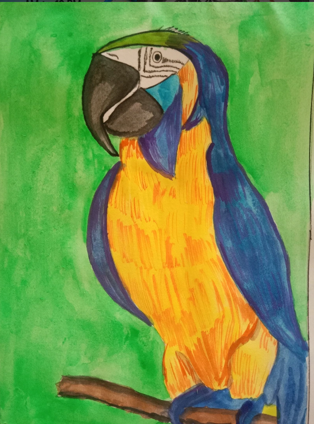 Blue and gold macaw parrot — detailed watercolour painting