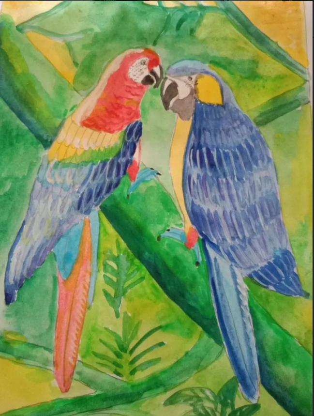Two tropical macaw parrots — watercolour painting